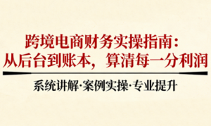 2025跨境电商财务实操指南-天韵资源网