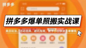 拼多多爆单照搬实战课，类目玩法、活动选择、避坑指南，新手小白快速出单赚钱-天韵资源网