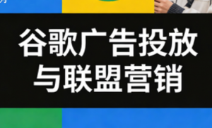 leo老师·谷歌广告投放与联盟营销-天韵资源网