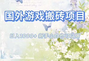 国外游戏全自动搬砖项目，日入10张，新手小白也可做，项目红利期，先搞先吃肉【揭秘】-天韵资源网