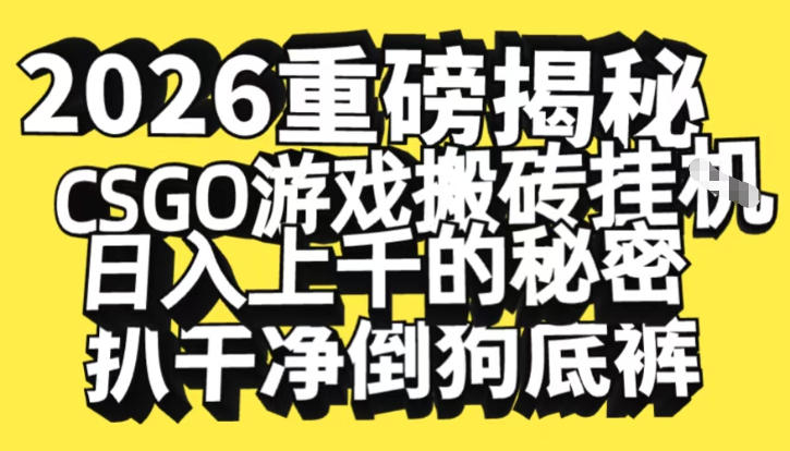 2026开年重磅解密，CSGO游戏搬砖挂G日入1k+的秘密，把倒狗的底裤扒干【揭秘】-天韵资源网