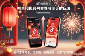 抖音和视频号，春节倒计时玩法，操作方法简单，可实现快速涨粉，后期可转带货-天韵资源网