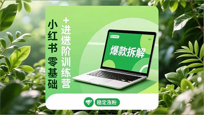 小红书零基础+高阶训练营:安全养号、爆款拆解、长效运营,实现稳定涨粉与变现-天韵资源网