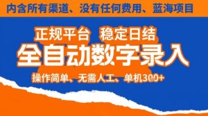 全自动数字录入,单机日入3张+,内含所有渠道全程免费零成本,操作简单可矩阵开干【揭秘】-天韵资源网