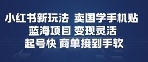 小红书新玩法，卖国学手机贴，蓝海项目，变现灵活，起号快，商单接到手软-天韵资源网