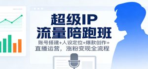 超级IP流量陪跑班：账号搭建+人设定位+爆款创作+直播运营，涨粉变现全流程-天韵资源网