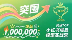 小红书爆品模型实战营，从新品突围到成为类目TOP，可复制路径，打造多个营收百万级爆品-天韵资源网