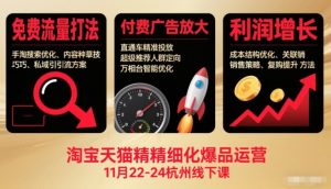 淘宝天猫精细化爆品运营11月22-24杭州线下课,免费流量打法+付费广告放大+利润增长(音频+文档)-天韵资源网