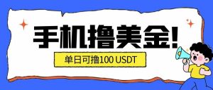 最新手机撸美金项目，单日产值100U+，2026年最新的风口项目-天韵资源网