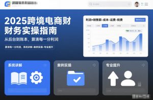 2025跨境电商财务实操指南，从后台到账本，算清每一分利润，系统讲解-案例实操-专业提升-天韵资源网