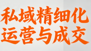 楚老师·私域精细化运营与成交-天韵资源网