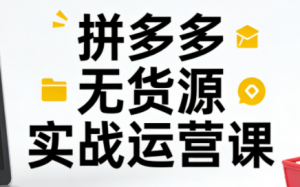 子枫老师·拼多多无货源实战运营课(更新12月)-天韵资源网