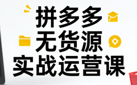 子枫老师·拼多多无货源实战运营课(更新12月)-天韵资源网