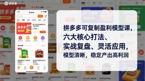 拼多多可复制盈利模型课，六大核心打法、实战复盘、灵活应用，模型清晰，稳定产出高利润-天韵资源网