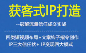 获客型IP打造,破解流量信任成,四类短视频布局+文案钩子指令创作IP三大信任状+IP变现四大模式-天韵资源网