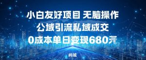 小白友好项目，无脑操作，公域引流私域成交，0成本单日变现680米-天韵资源网
