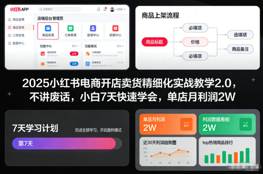 2025小红书电商开店卖货精细化实战教学2.0，不讲废话，小白7天快速学会，单店月利润2W-天韵资源网