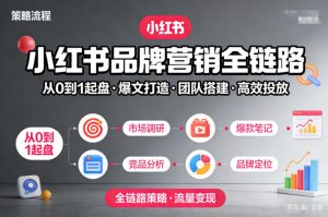 小红书品牌营销全链路，从0到1起盘、爆文打造、团队搭建到高效投放的全链路策略-天韵资源网