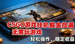 CSGO游戏挂G掘金捡漏，不需要玩游戏，操作简单，收益稳定【揭秘】-天韵资源网