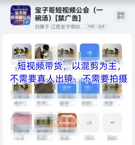 宝子哥头部团队短视频带货，以混剪为主，不需要真人出镜，不需要拍摄【更新11月】-天韵资源网