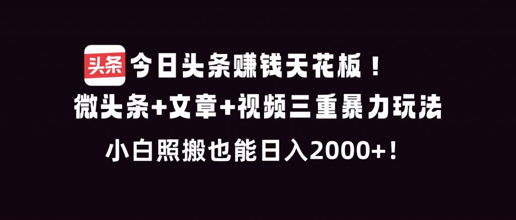 今日头条赚钱天花板！微头条+文章+视频三重暴利玩法，小白照搬也能日人2000+-天韵资源网