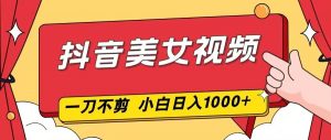 抖音美女视频，一刀不剪，两分钟一条视频，小白轻松上手，日入1000-天韵资源网