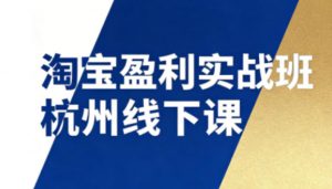 淘宝盈利实战班杭州线下课12月26-28日(音频+字幕)，帮你掌握SOP流程+12门核心技术-天韵资源网
