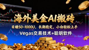 【海外美金AI搬砖】Vegas交易技术+聪明软件，日赚50-1000U，长期稳定，小白轻松上手。-天韵资源网