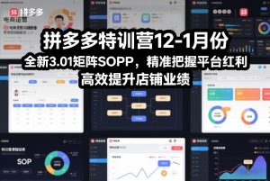 拼多多特训营12-1月份，全新3.01矩阵Sop，精准把握平台红利，高效提升店铺业绩-天韵资源网