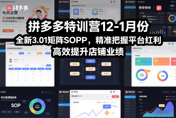 拼多多特训营12-1月份，全新3.01矩阵Sop，精准把握平台红利，高效提升店铺业绩-天韵资源网