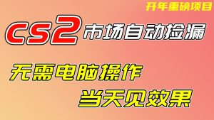 CS2市场挂机项，无需电脑操作，无需进入游戏，当天见效果，支持任何形式验证-天韵资源网