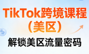 TikTok跨境课程(美区)-天韵资源网