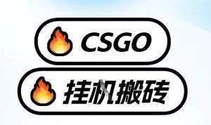 真全网独家CSGO挂G，最新玩法,单日捡漏1K+，不用电脑，不用打游戏【揭秘】-天韵资源网