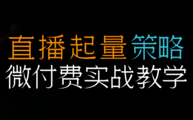 半野老师·直播带货起量与微付费必学课视频号(更新2026)-天韵资源网