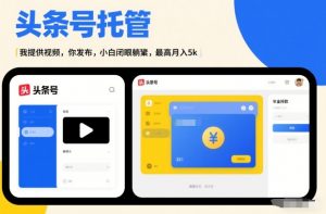 头条号AI托管，我提供视频，你发布，小白闭眼躺賺，最高月入5k+【揭秘】-天韵资源网