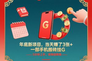 年底新项目，当天賺了3张+，一部手机搬砖挂G，5分钟上手，保姆级教程【揭秘】-天韵资源网