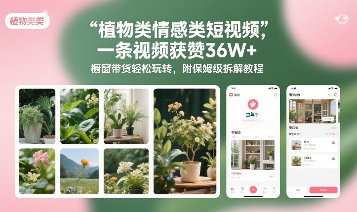 植物类情感类短视频，一条视频获赞36W+，橱窗带货轻松玩转，附保姆级拆解教程-天韵资源网