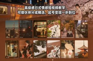 高级感日式情感短视频教学，可做伙伴分成精选，起号变现一步到位-天韵资源网