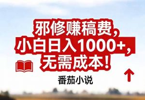 番茄小说赚稿费邪修玩法无需成本，真实日入1000+，超级简单！-天韵资源网