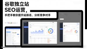 谷歌独立站SEO运营，手把手教你提升网站排名、分析竞争对手(更新2026)-天韵资源网