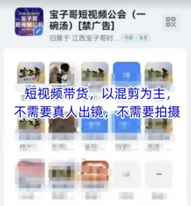 宝子哥头部团队短视频带货，以混剪为主，不需要真人出镜，不需要拍摄【更新26年1月】-天韵资源网