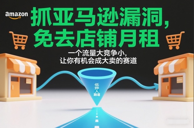 抓亚马逊漏洞，免去店铺月租，一个流量大竞争小，让你有机会成大卖的赛道-天韵资源网