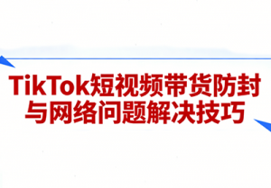 老谭·TikTok短视频带货实拍课程-天韵资源网