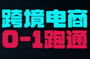东南亚TikTok小店运营实操-天韵资源网