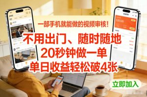 一部手机就能做的视频审核！不用出门，随时随地，20秒钟做一单，单日收益轻松破4张【揭秘】-天韵资源网