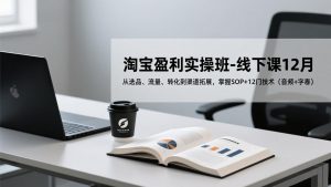 淘宝盈利实操班-线下课12月，从选品、流量、转化到渠道拓展，掌握SOP+12门技术(音频+字幕-天韵资源网