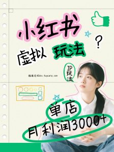 小红书虚拟玩法(铺货流和单品玩法)，单店月利润3000+，IP打法+原创商品(0违规)-天韵资源网