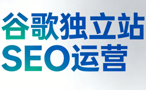 谷歌独立站SEO运营(更新2026)-天韵资源网