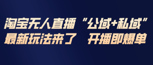 淘宝无人直播最新玩法，包含私域和公域两种玩法-天韵资源网