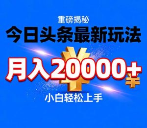 今日头条代运营最新玩法，轻轻松松月入20000＋-天韵资源网
